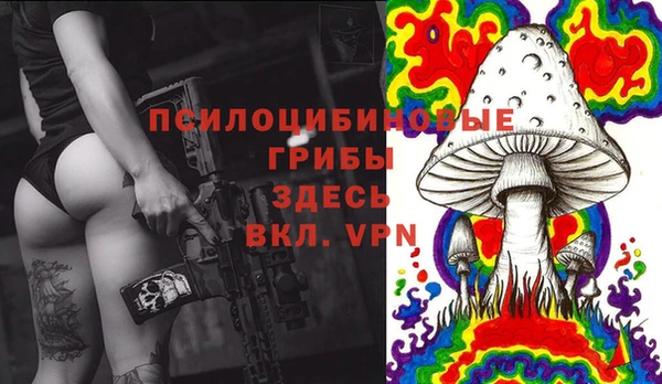а пвп мука Абаза