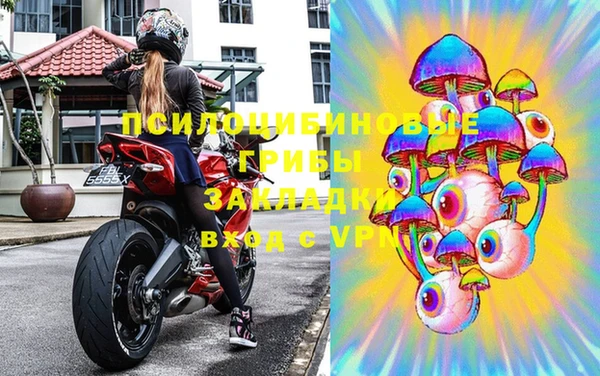 молекула духа Алексин