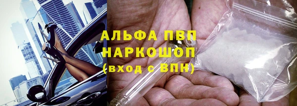 молекула духа Алексин