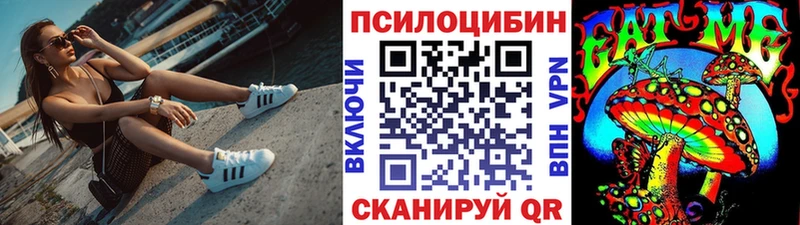 Псилоцибиновые грибы Psilocybine cubensis  Гусь-Хрустальный 